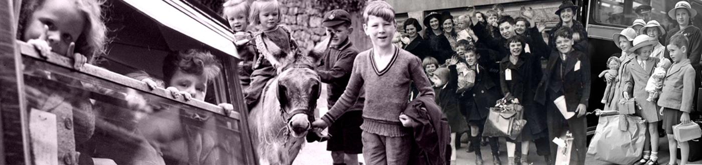 photography comp banner head