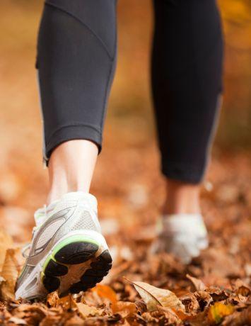 Sport, Outdoors and Travel