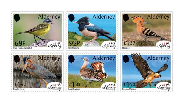 Alderney Bird Observatory
