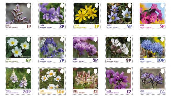 Sark Wildflowers Definitives