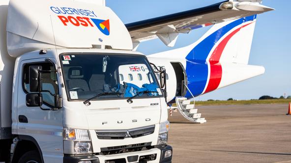 Business Electronic Customs Data panel