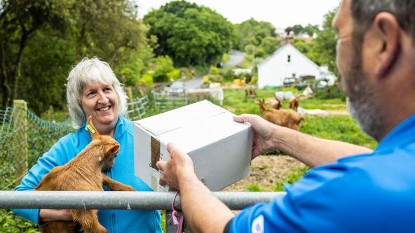 Special Delivery Panel